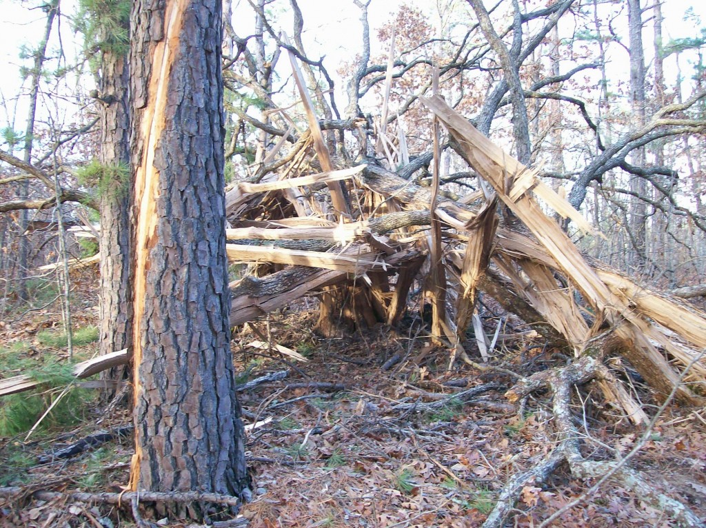 Lightning Tree Madison County Wildlife Management Area